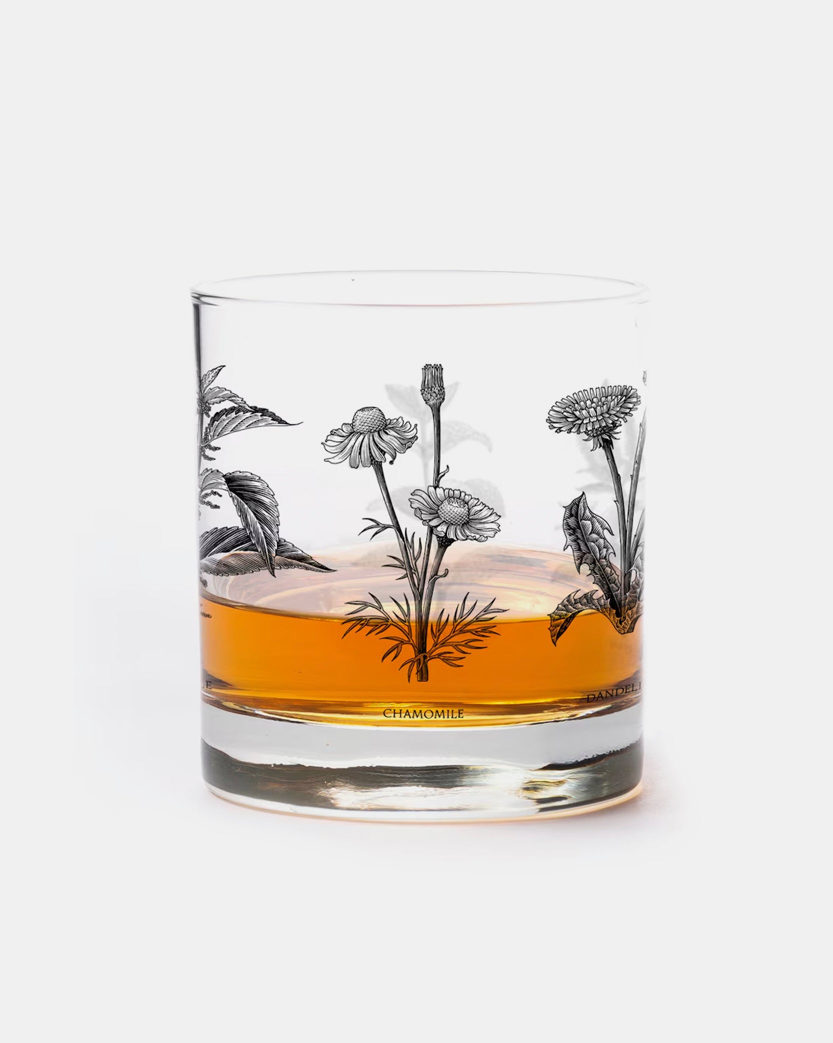 Botanical Herbs Single Whiskey Glass 1