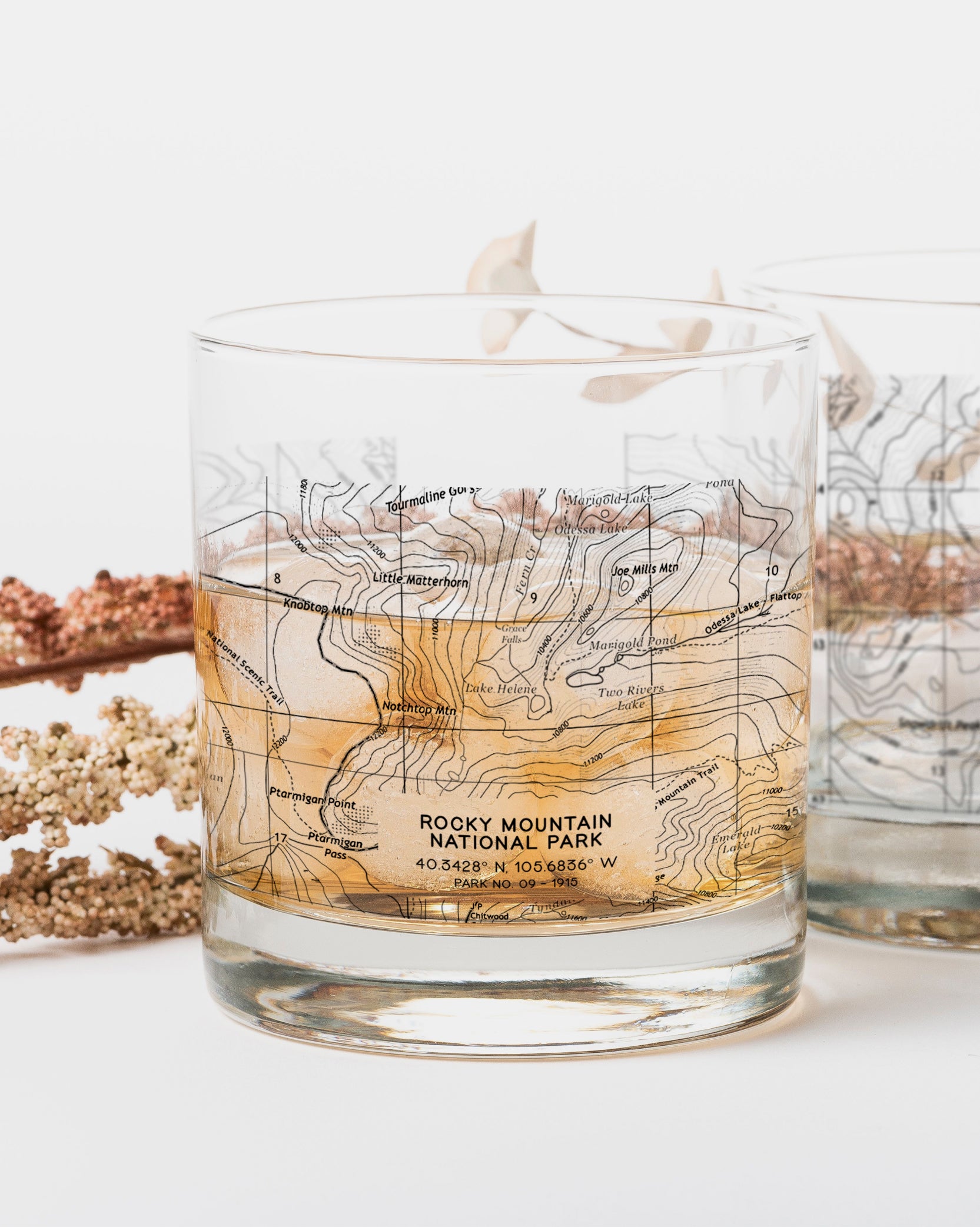 Rocky Mountain National Park Whiskey Glasses 2